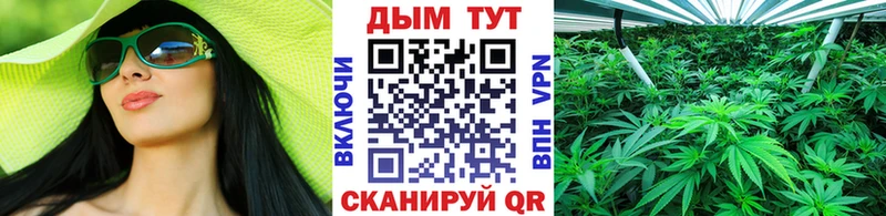 хочу Рыбное Конопля ГИДРОПОН
